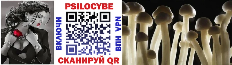 цены наркотик  Еманжелинск  Псилоцибиновые грибы Cubensis 