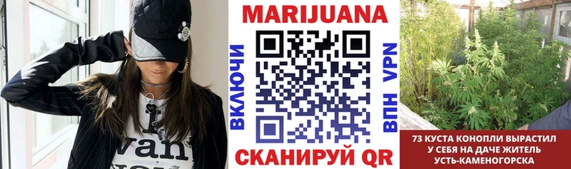 Шишки марихуана индика  купить наркотик  Еманжелинск 